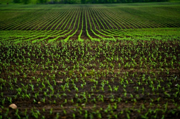 Agroker: a mezőgazdasági webáruház